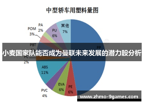 小麦国家队能否成为曼联未来发展的潜力股分析 小麦国家队能否成为曼联未来发展的潜力股分析